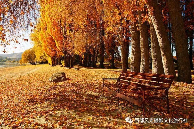 饥饿的哈利